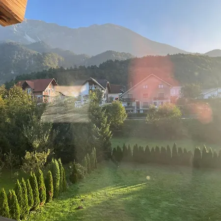 Meadow Tranquil With Evergreen Garden - Two Bedroom Zirovnica