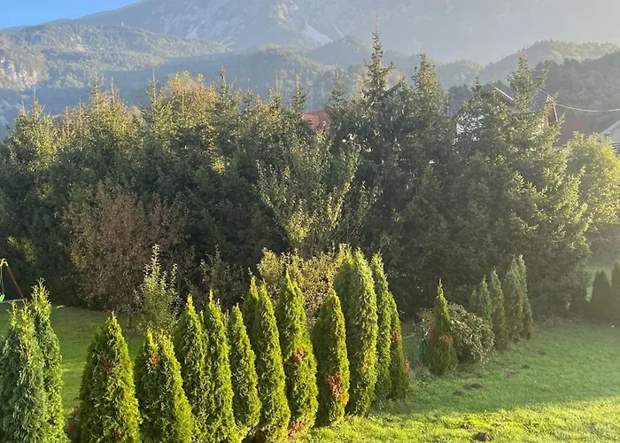 Meadow Tranquil With Evergreen Garden - Two Bedroom Apartment